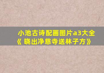 小池古诗配画图片a3大全《 晓出净慈寺送林子方》